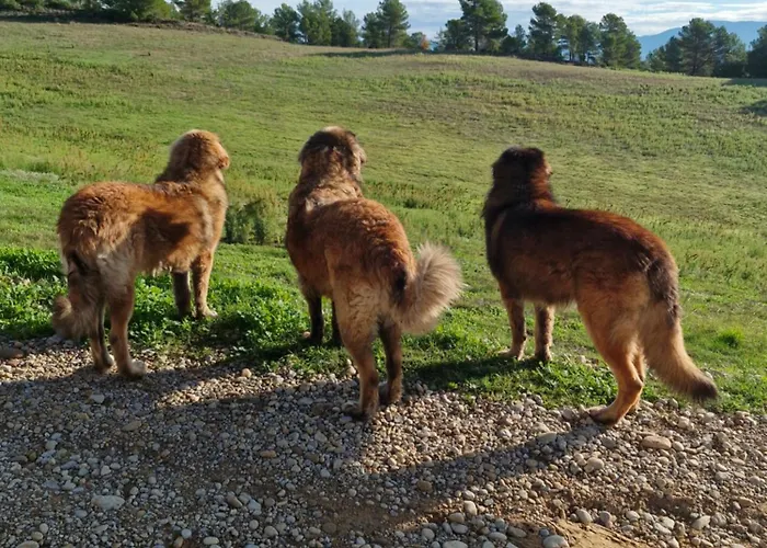 Couette-café D'hotes A Petre Entrevennes