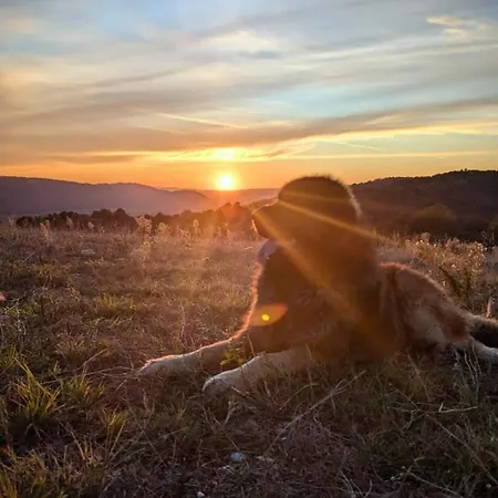 Frühstückspension D'hotes A Petre Entrevennes