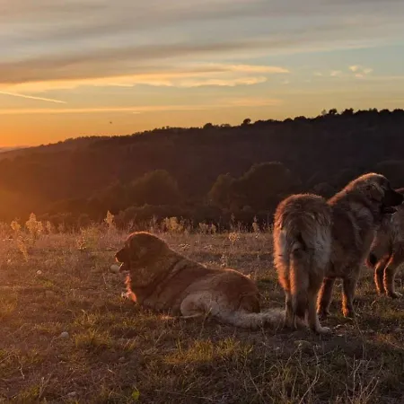D'hotes A Petre Frühstückspension Entrevennes