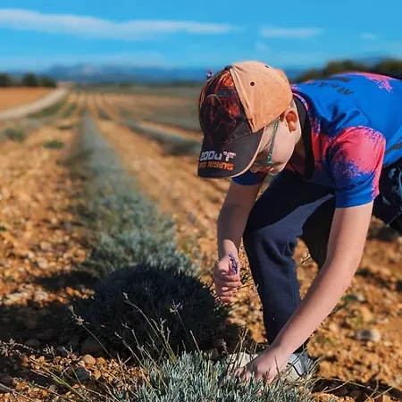 D'hotes A Petre Frühstückspension