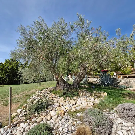 D'hotes A Petre 3* Entrevennes