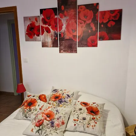 D'hotes A Petre Bed & Breakfast