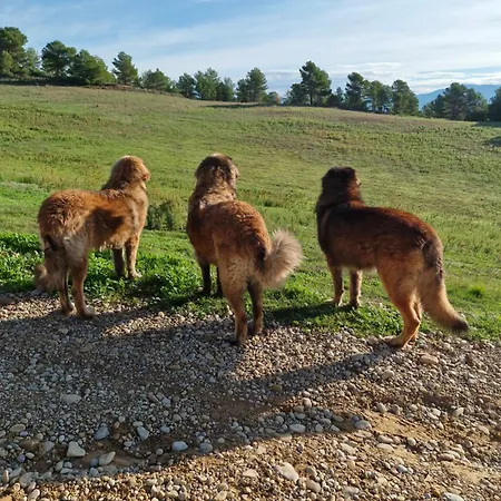 Frühstückspension D'hotes A Petre Entrevennes