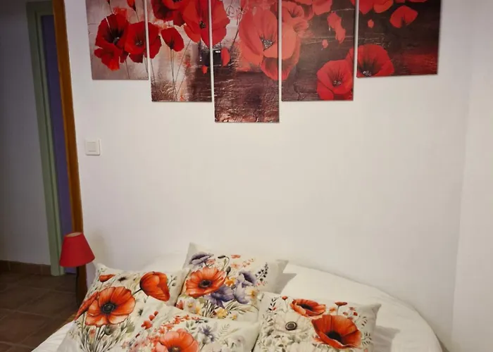 D'hotes A Petre Bed & Breakfast